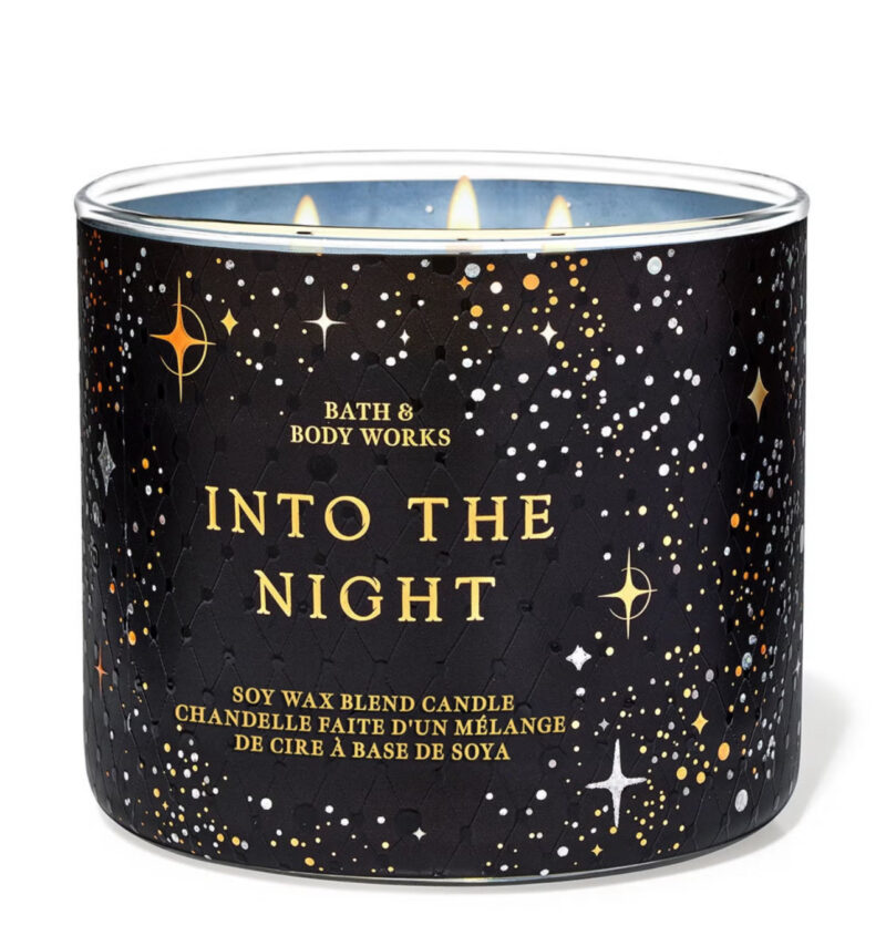 Bath and Bodyworks Into the Night 3-Wick Candle